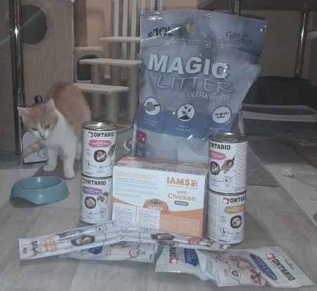 Centrum 1. pomoci pro kočky, z. s.